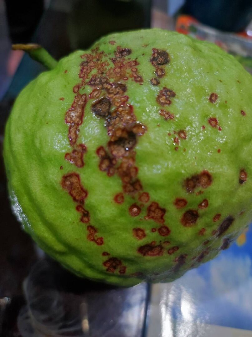 請問這是什麼原因造成的