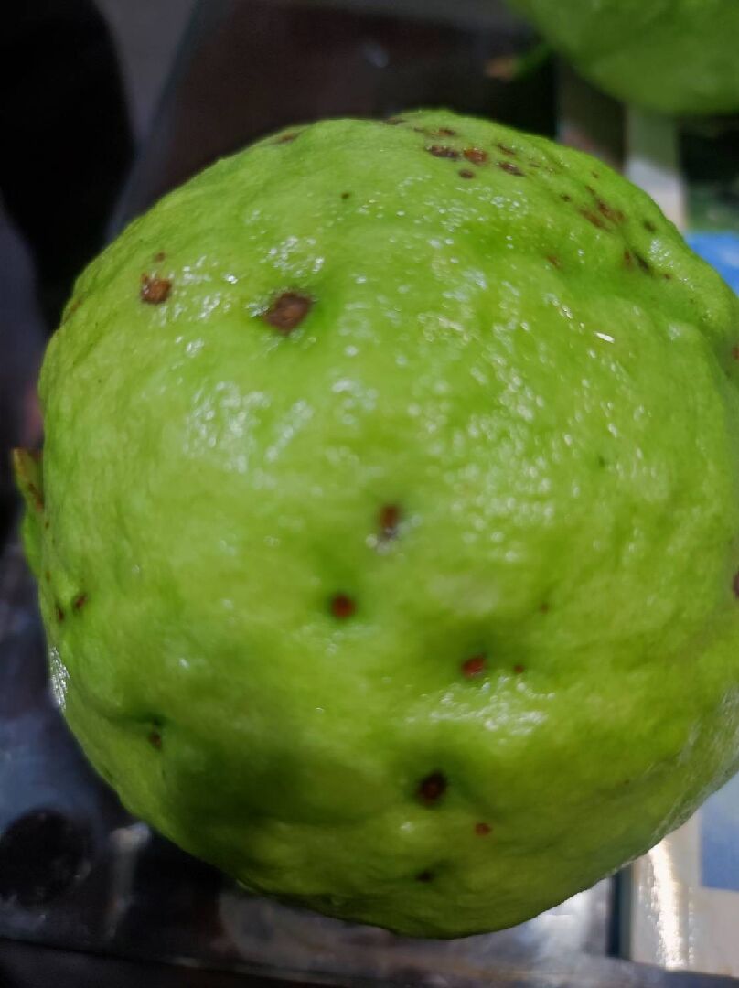 請問這是什麼原因造成的