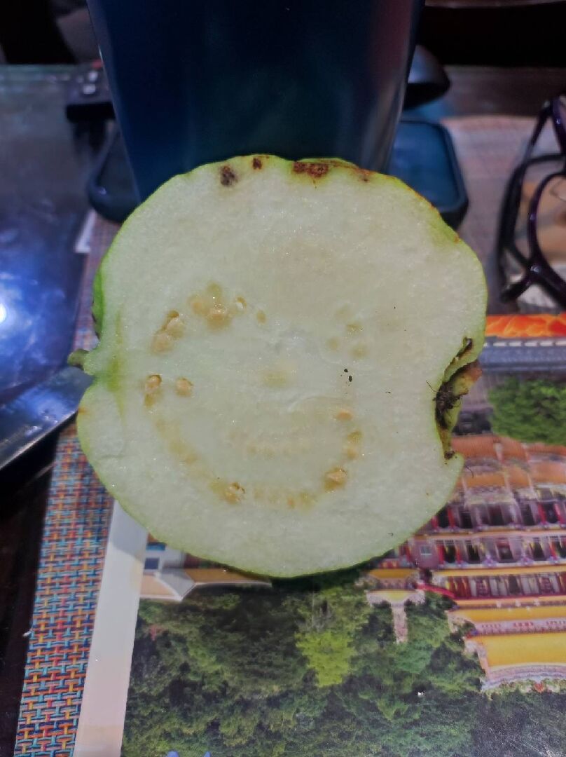 請問這是什麼原因造成的