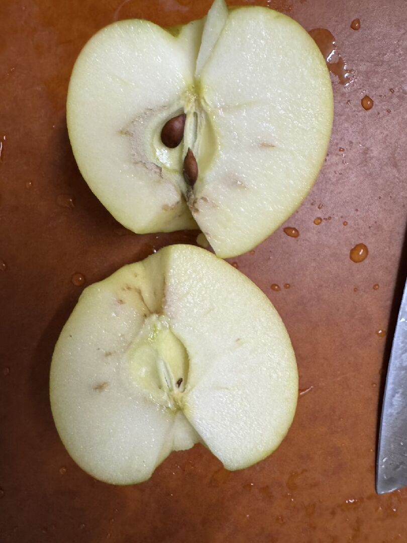 請問這樣的蘋果是有什麼問題?
