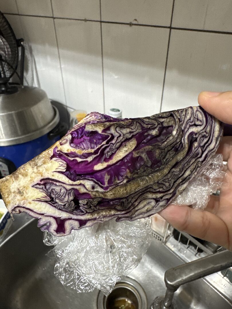 紫高麗菜發霉了嗎?