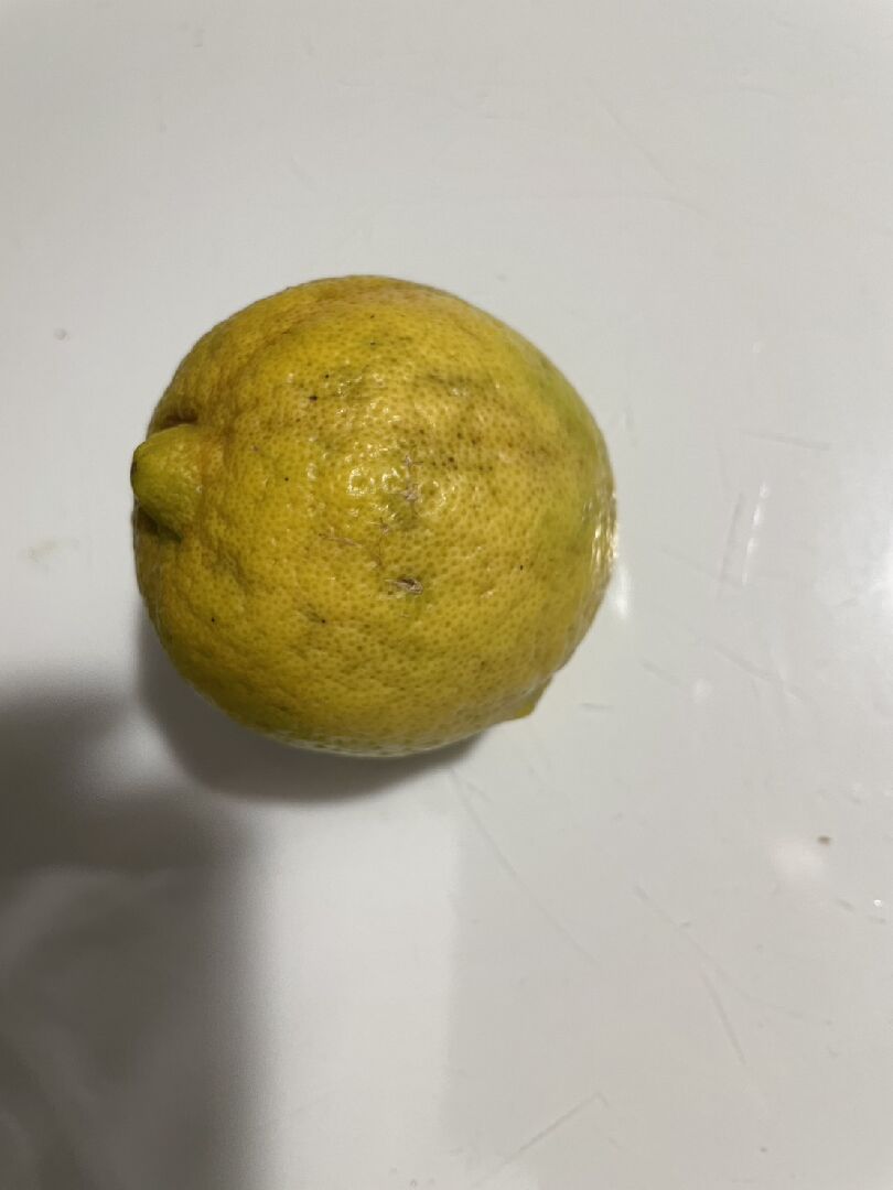 檸檬果實損傷落果