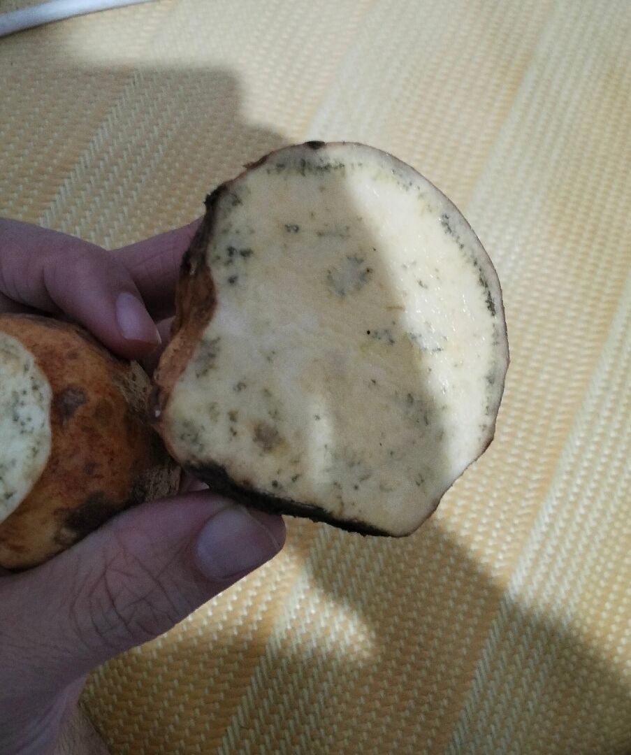 請問切開的地瓜,能蒸來吃嗎?