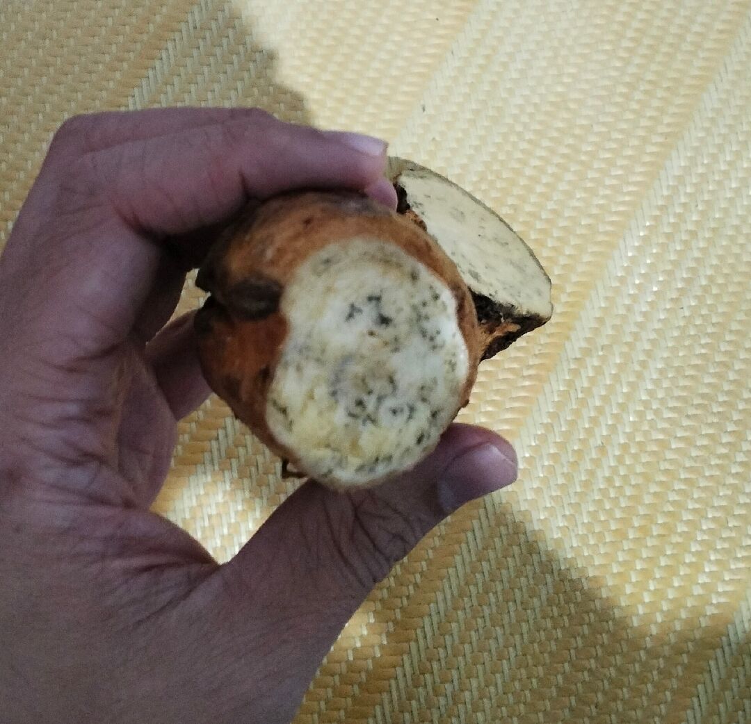 請問切開的地瓜,能蒸來吃嗎?