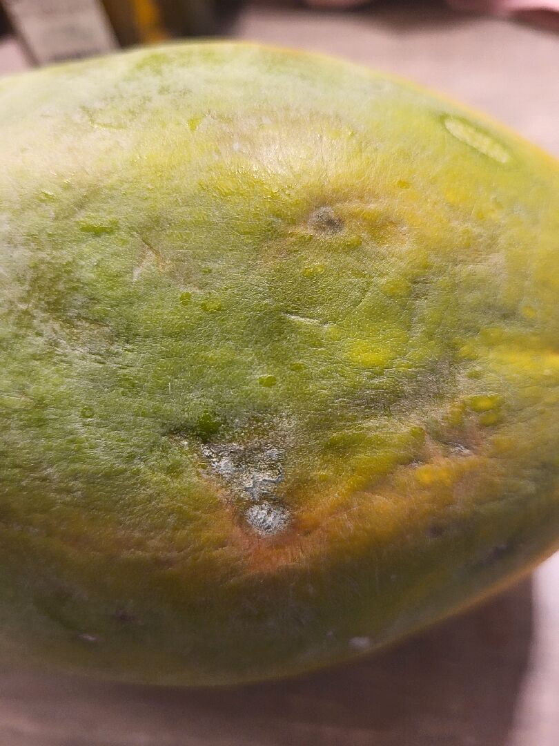 木瓜發青表皮類似有發霉