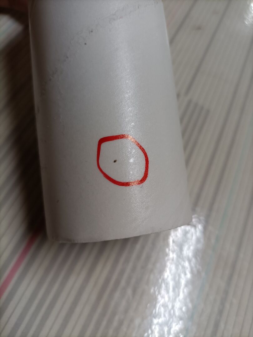 請問這是禽蟎嗎