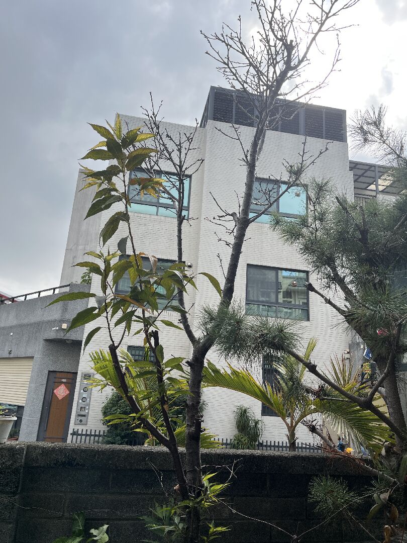 櫻花樹修剪阡插