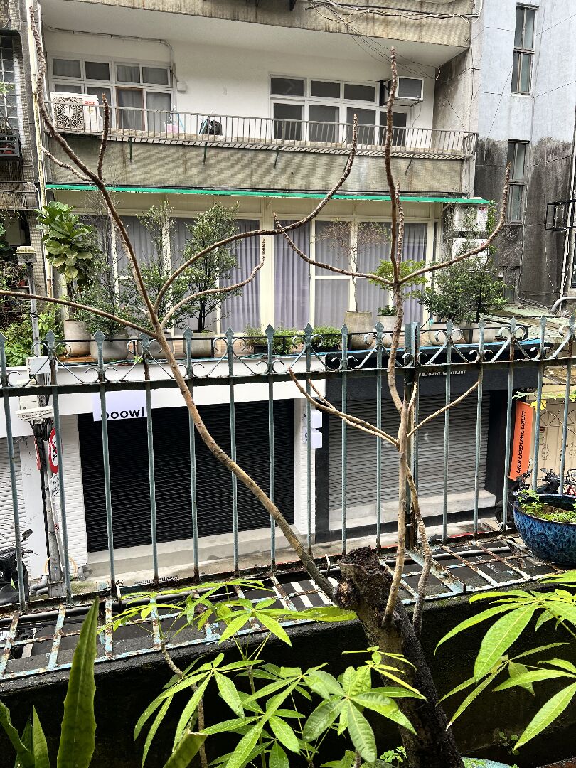 這個應該要如何救治