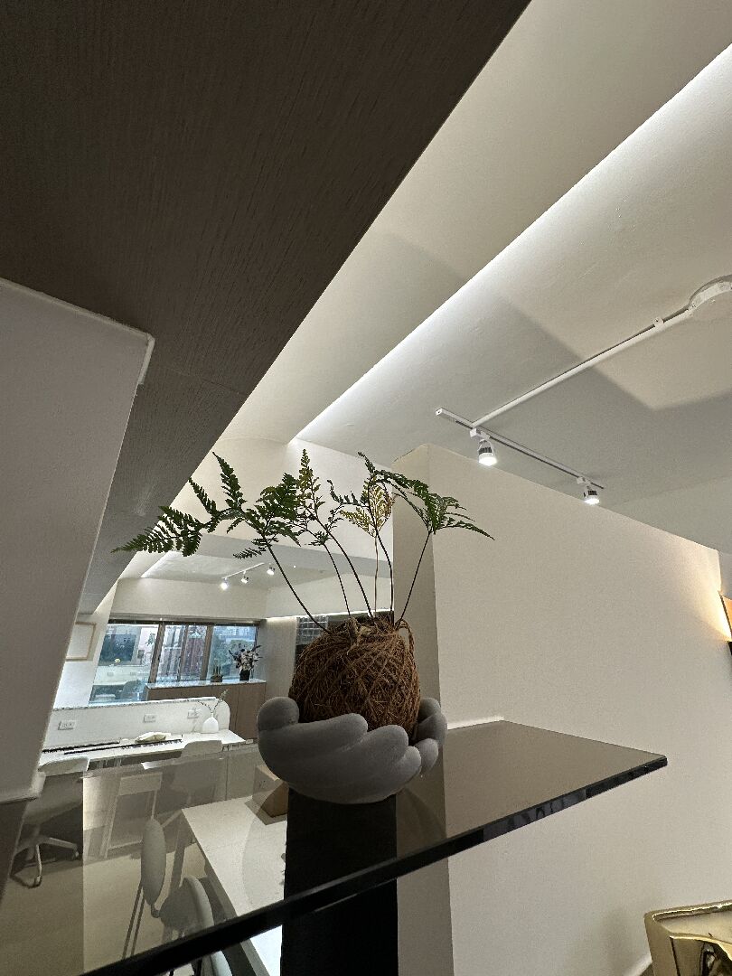 兔腳蕨變黃又焦葉