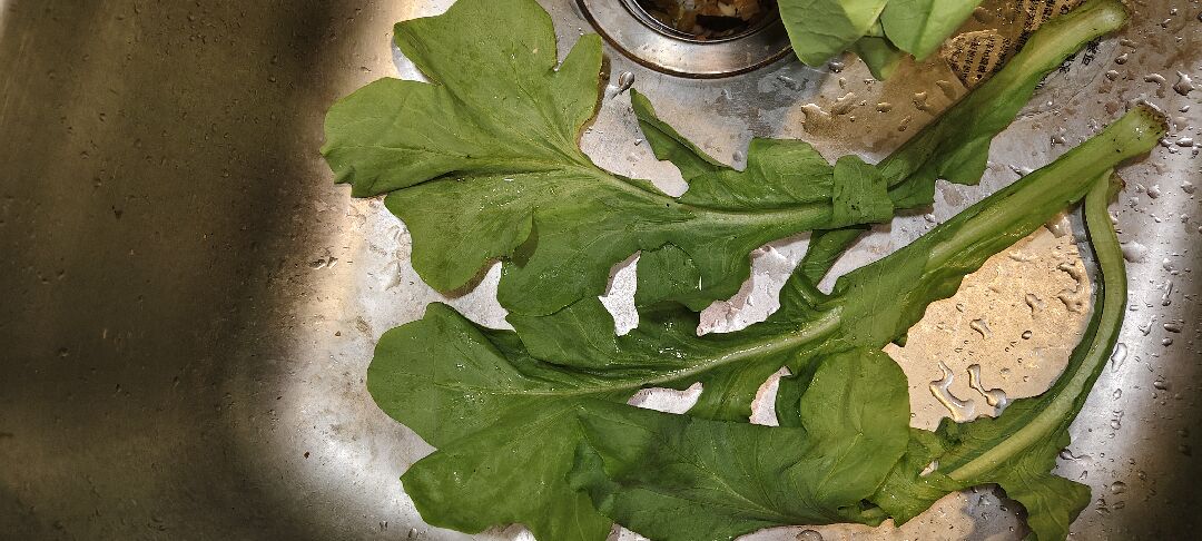 請問這是什麼菜？