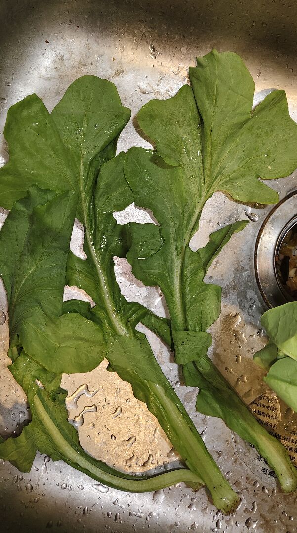 請問這是什麼菜？