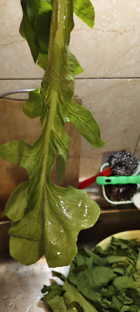 請問這是什麼菜？