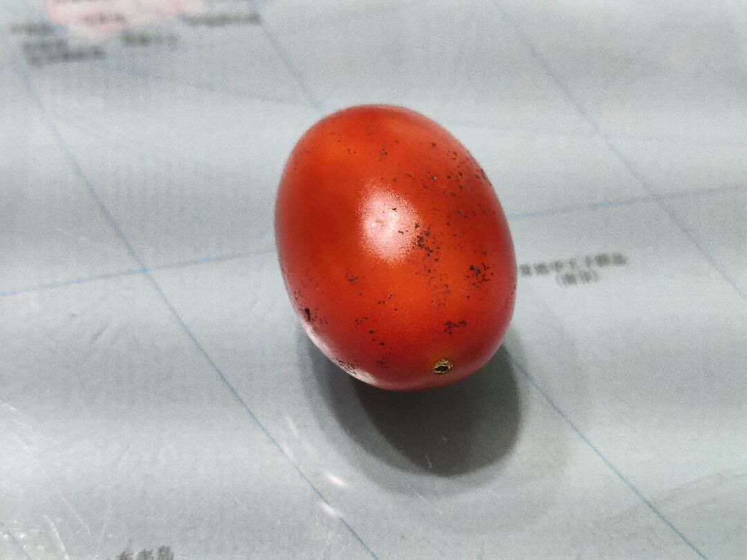 小番茄上的不明黑色髒污