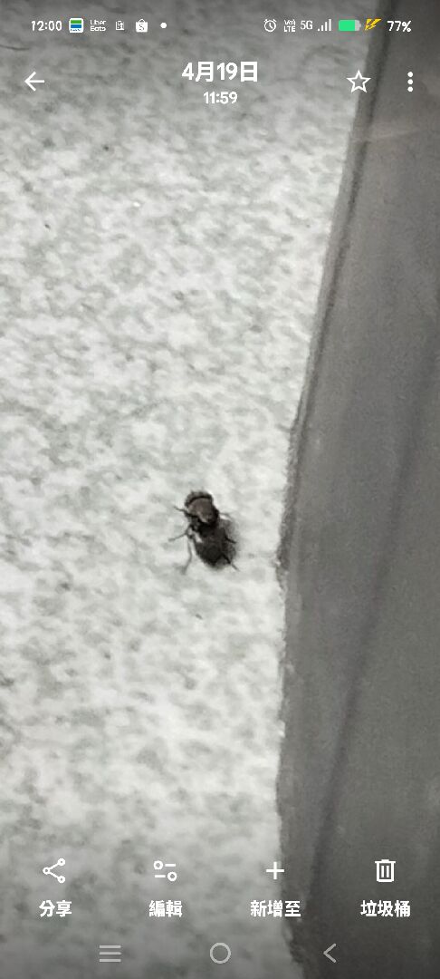 請問這是怎麼蟲