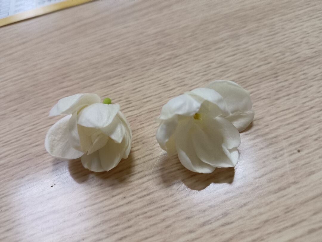請問是什麼植物的花