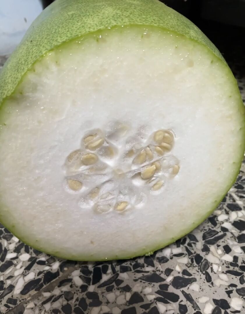 冬瓜；什麼品種