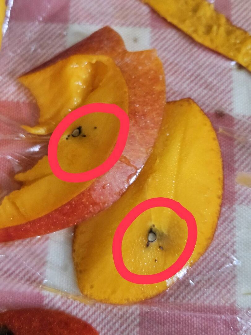 芒果果肉內除了芒果核，還有一顆像似種子的黑色不明物體