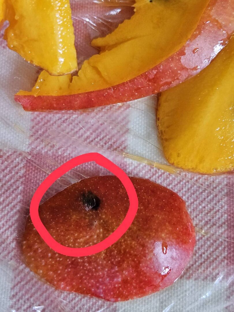 芒果果肉內除了芒果核，還有一顆像似種子的黑色不明物體