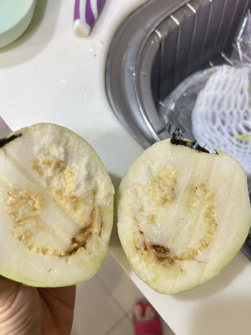 請問這顆珍珠芭樂是怎麼了
