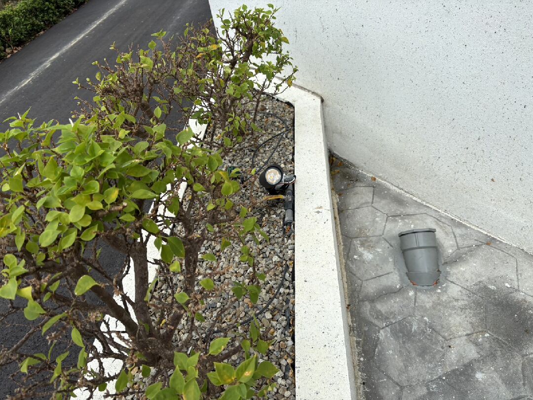 詢問九重葛噴灑複合銅後下大雨大量落葉是甚麼原因??