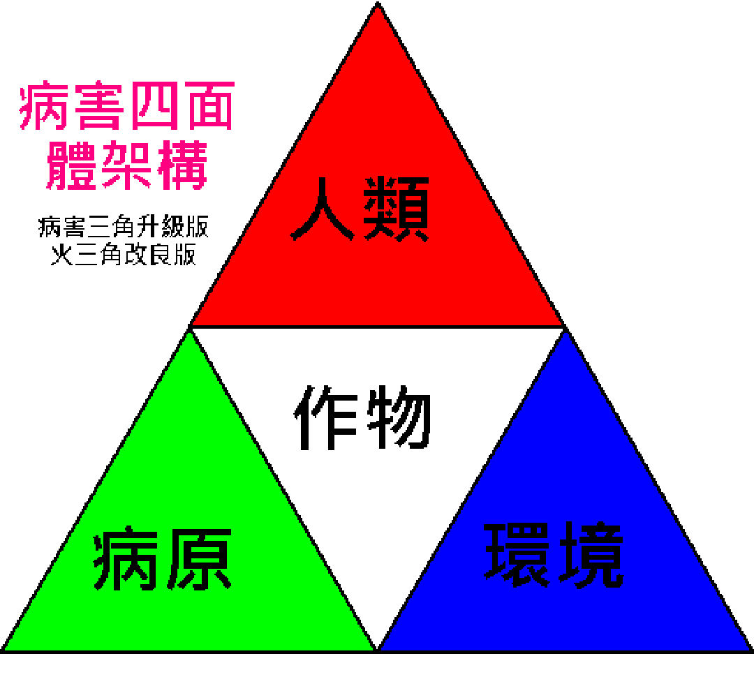 病害四面體架構（病害三角升級改良）