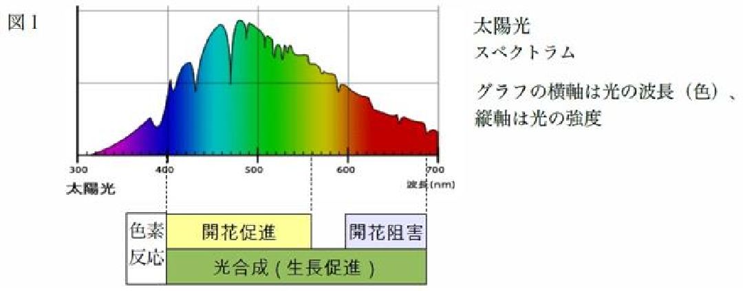 各光波長對植物影響