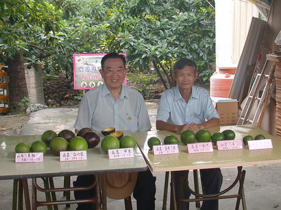 林樸先生與大內酪梨園區主人合影， 圖為酪梨品種展示。（圖/ 嘉義分所 鍾志明提供）