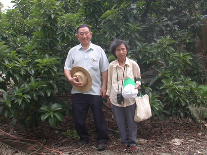 幸福果協會理事長　林樸先生留影於大內酪梨試驗區。（圖/ 嘉義分所 鍾志明提供）