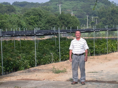 林文龍先生留影於大內酪梨試驗園區。（圖/ 嘉義分所 鍾志明提供）