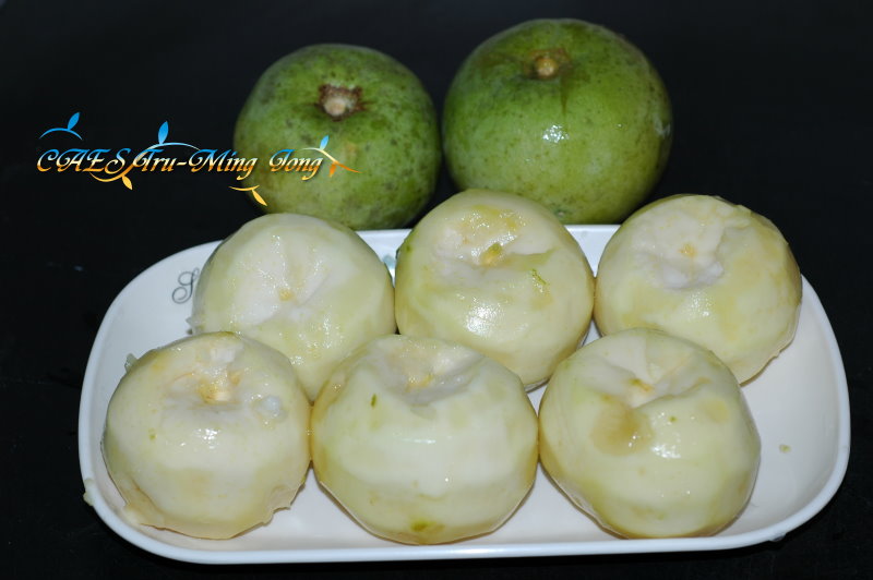 鮮食白柿果實。 (圖/ 嘉義分所 鍾志明先生提供)