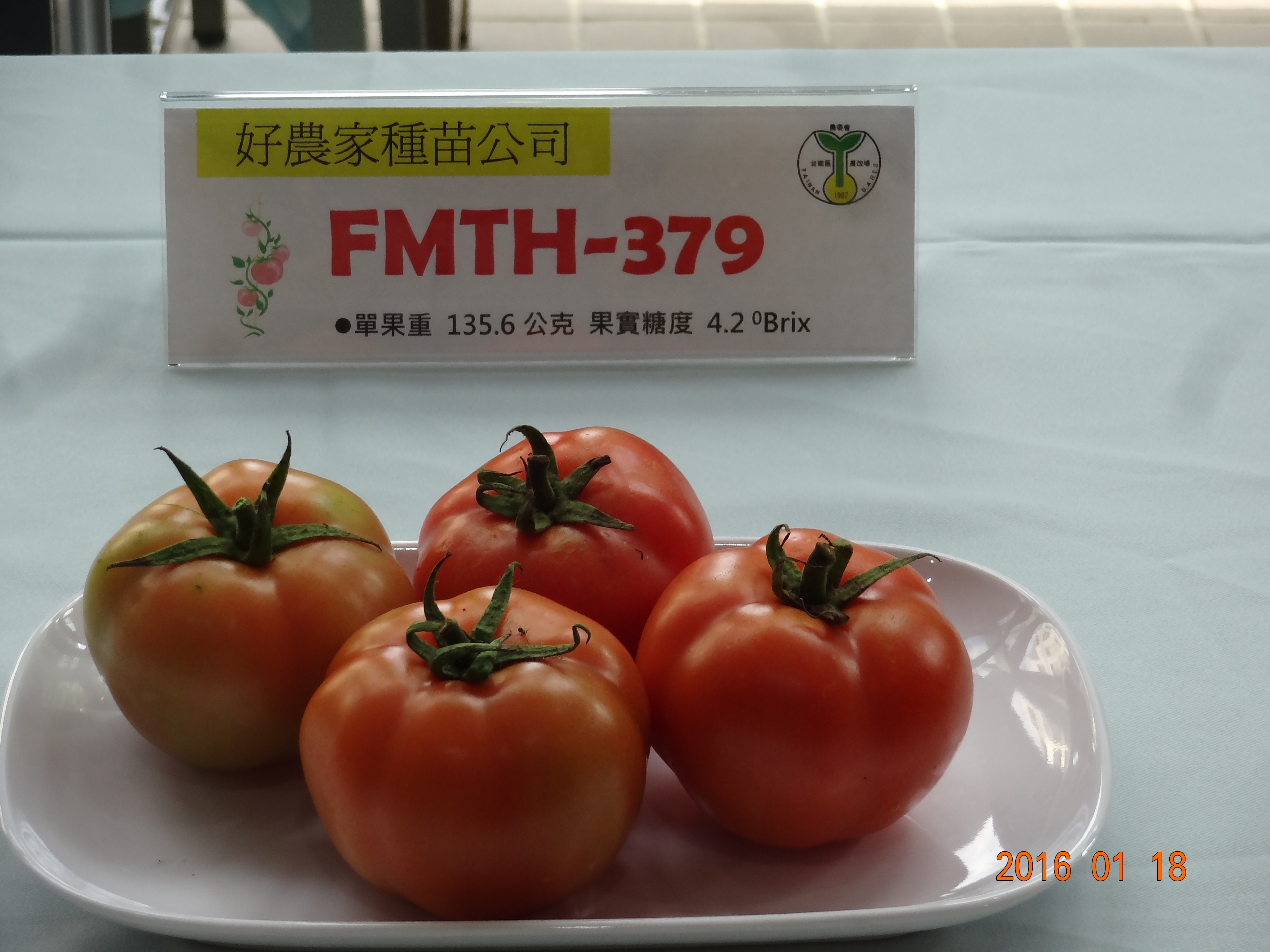 FMTH-379/好農家公司