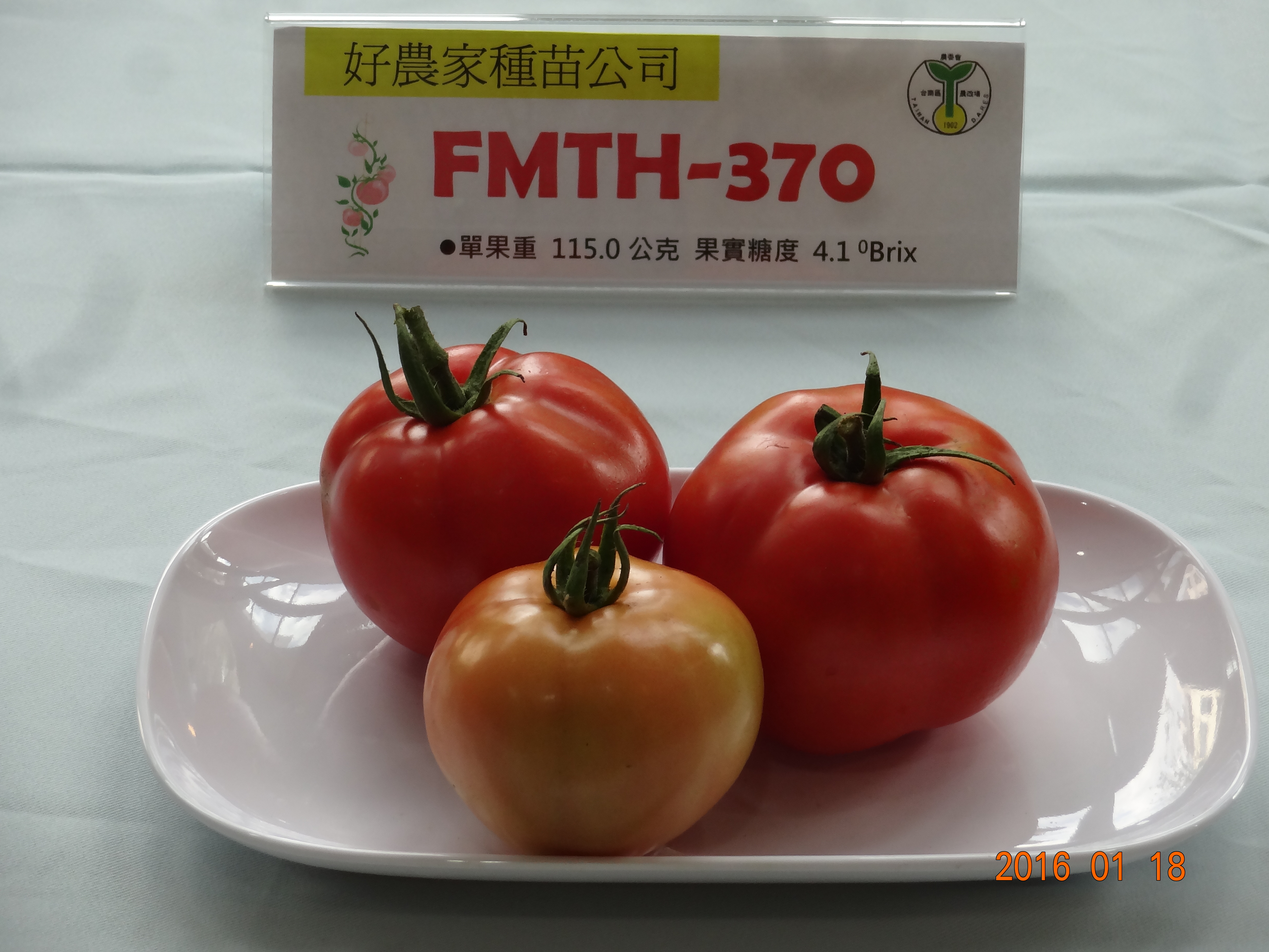 FMTH-370/好農家公司