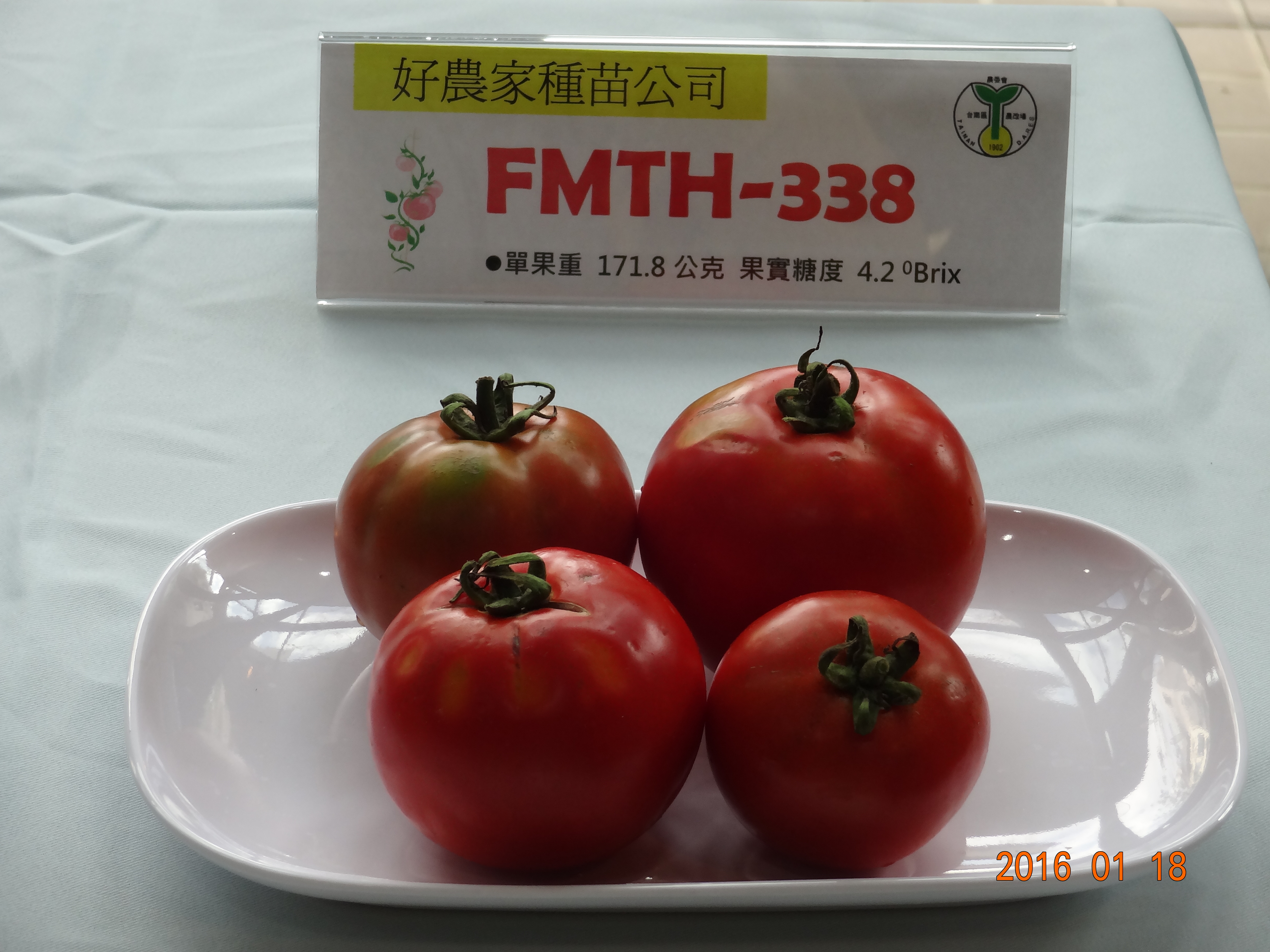 FMTH-338/好農家公司