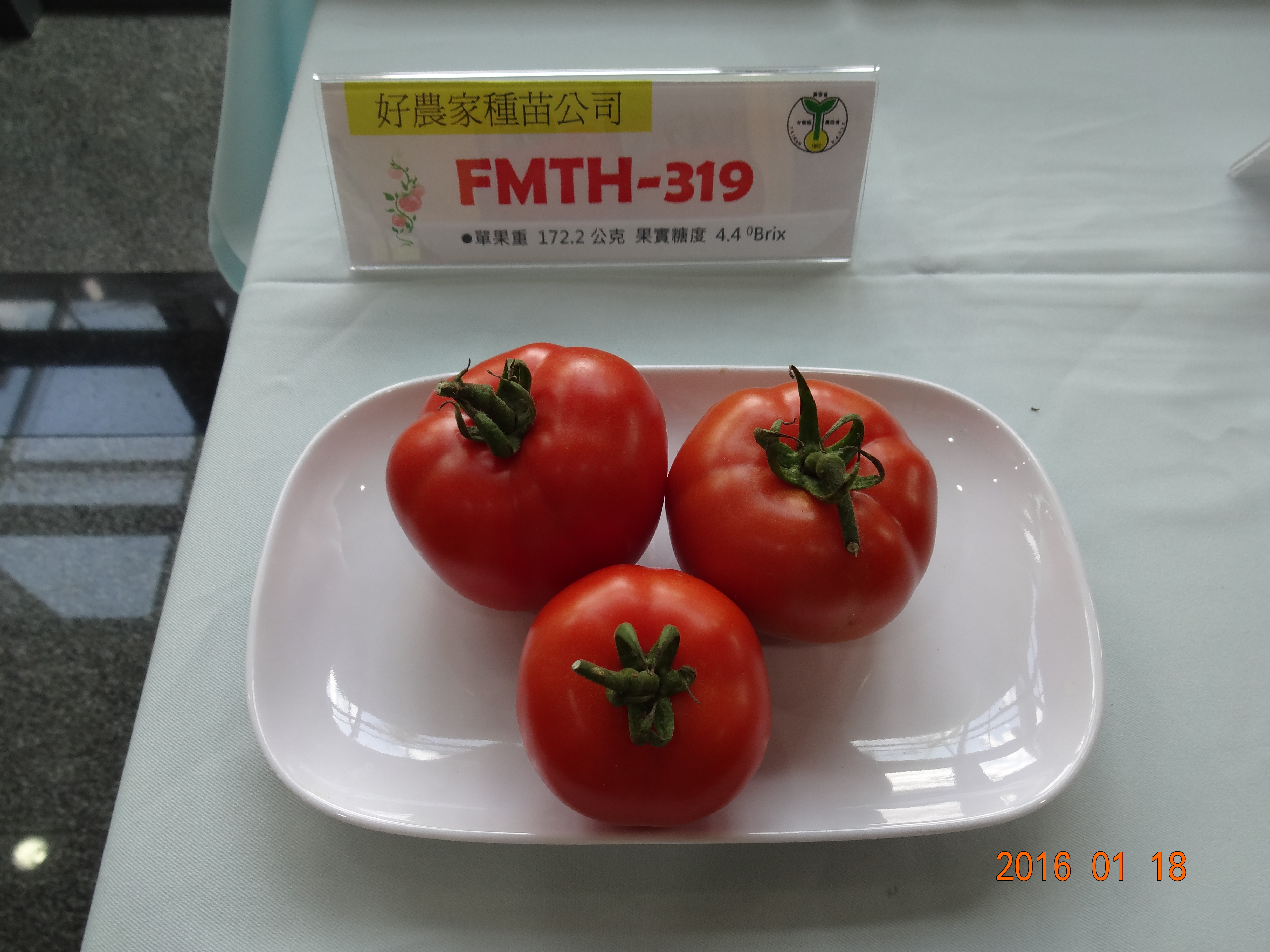 FMTH-319/好農家公司