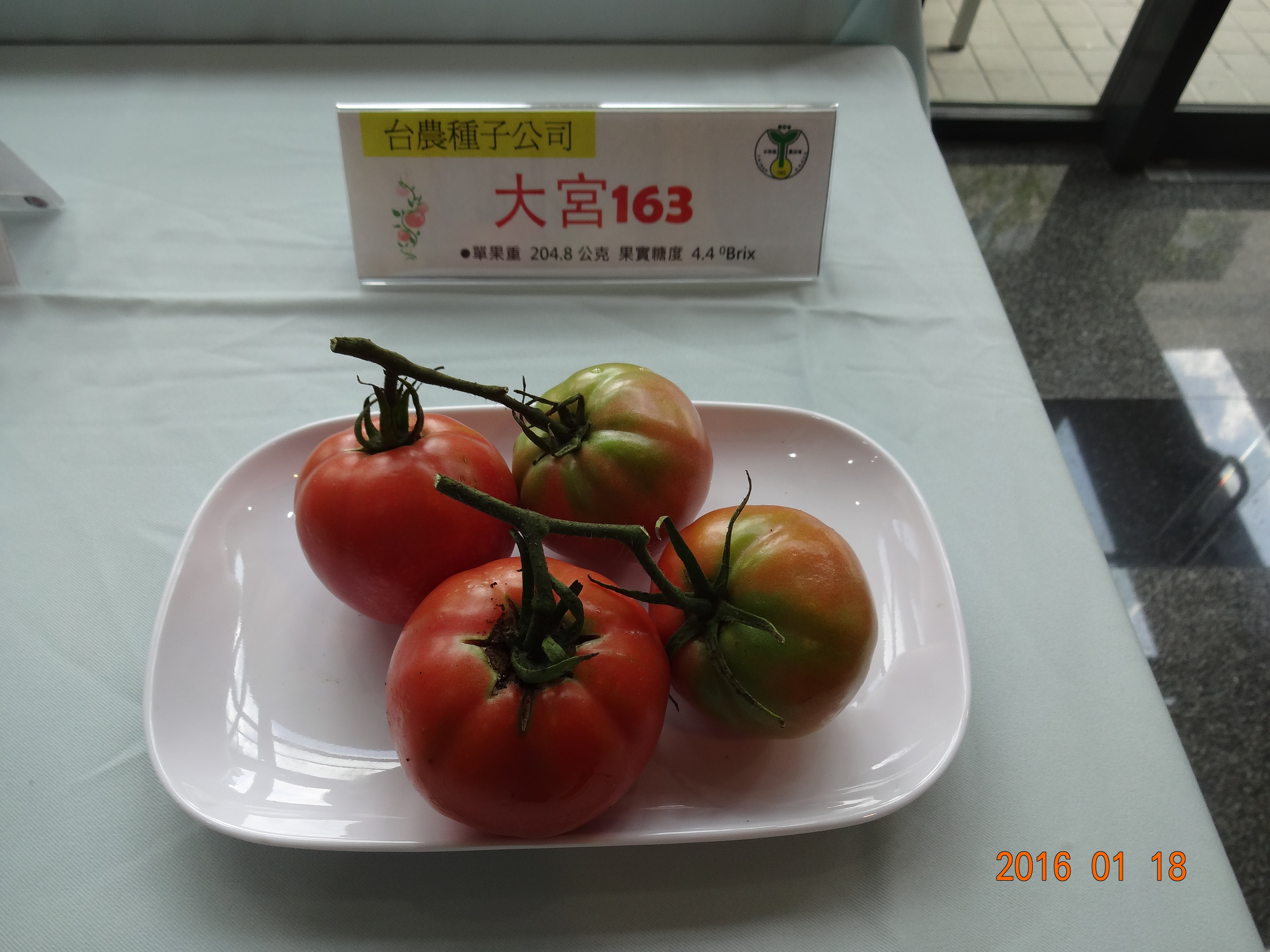 大宮163/臺農公司