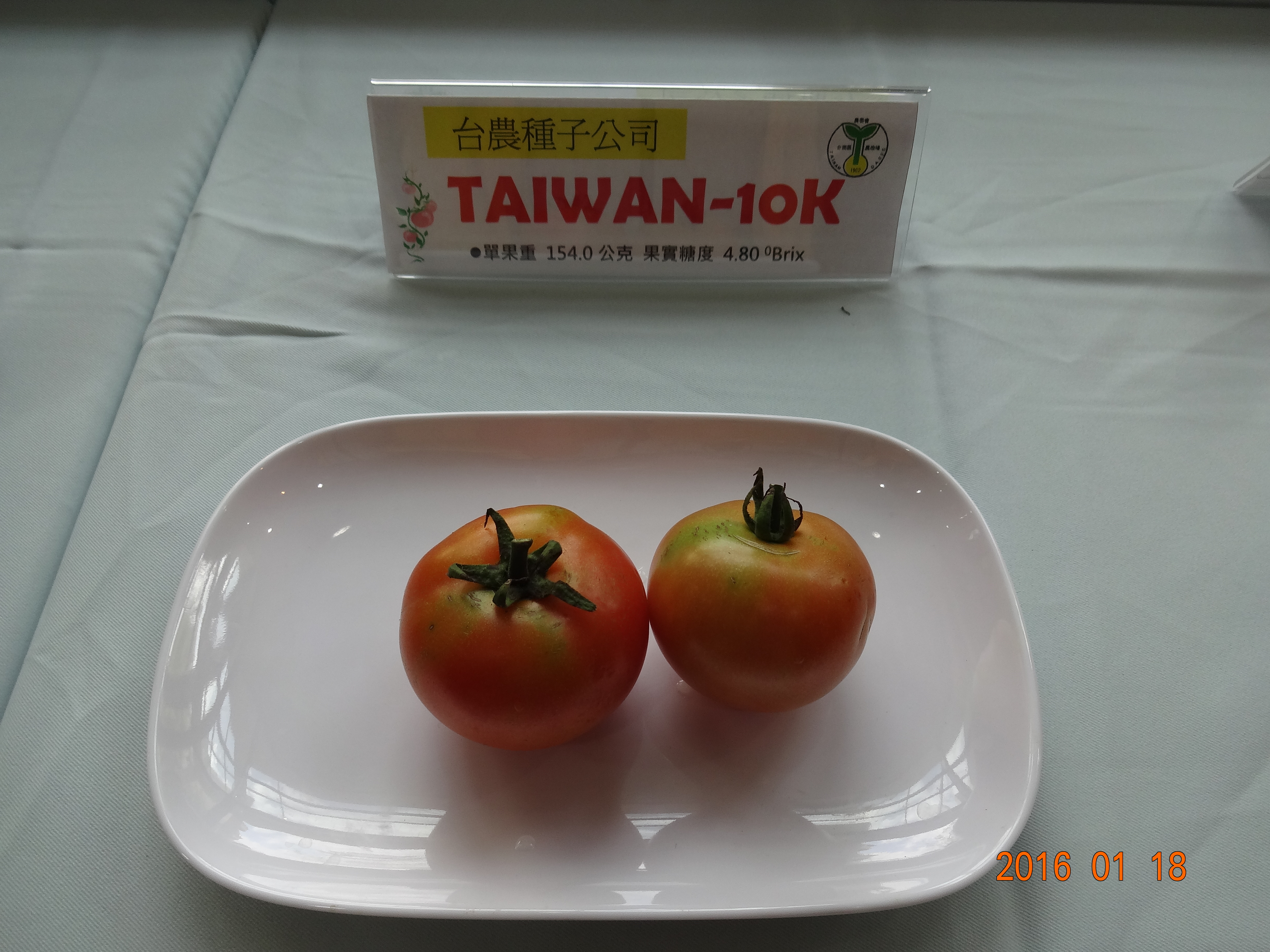 TAIWAN-10K/臺農公司
