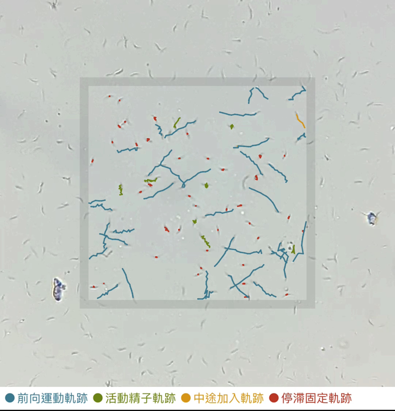 iSperm用於鴨精子活力的檢測