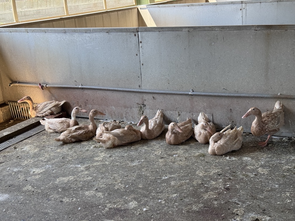 優閒的午後(周宜靜)