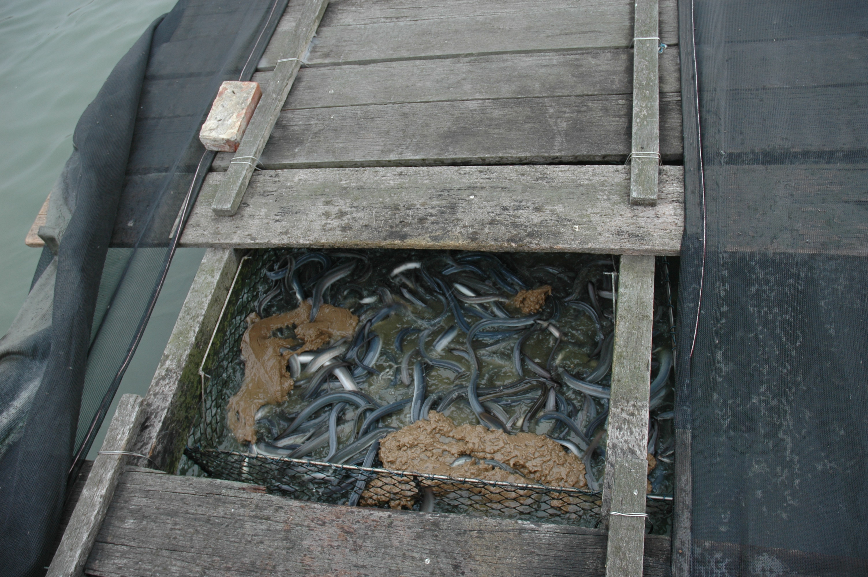 飼料台與飼料籃