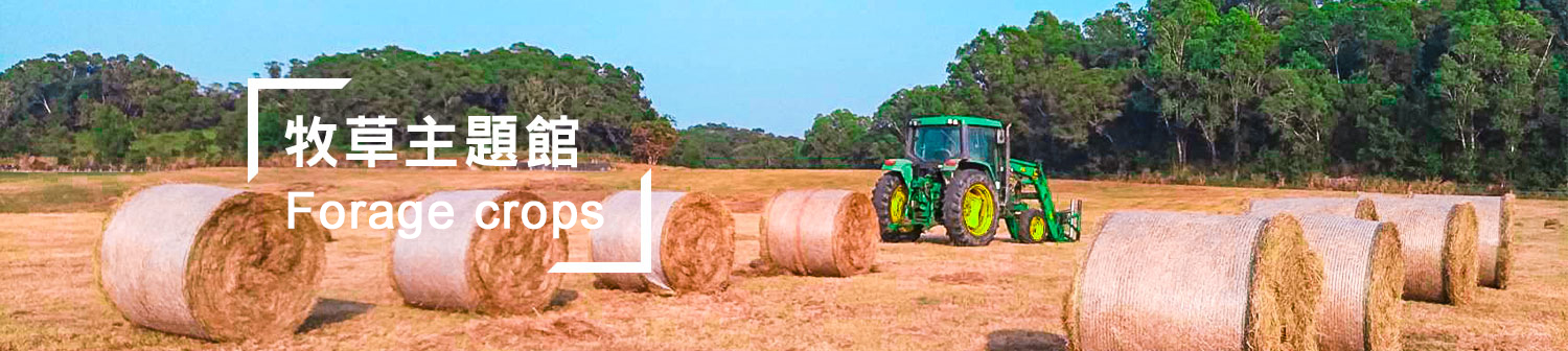 牧草banner
