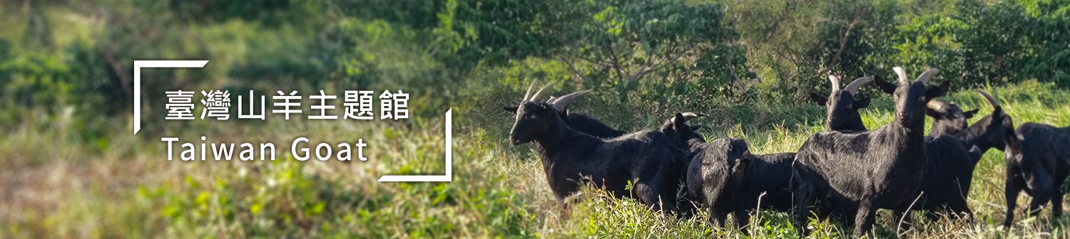 山羊banner