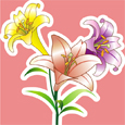 孫*華