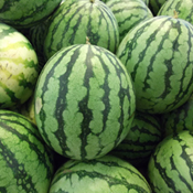 農漁生產地圖-西瓜