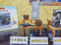 能源轉型新天地 廢棄蚵棚變生質發電燃料